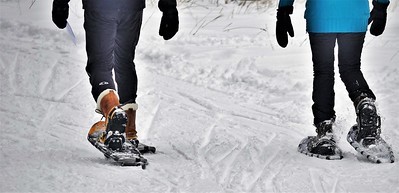 Snowshoers
