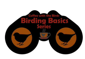 Birding Basics Logo