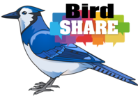 Bird Share