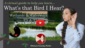 WtBIH - Wetlands & Waterways