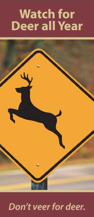 Deer safety