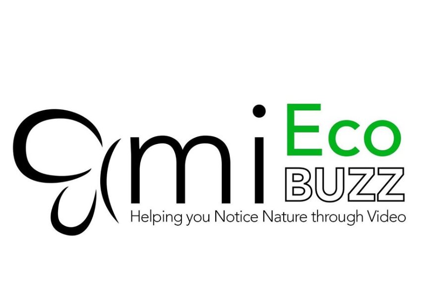EcoBuzz Logo