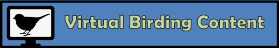 Virtual Birding Content