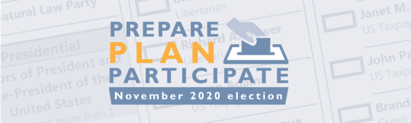 PLAN for the November election