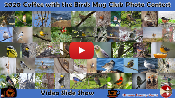 2020 Photo Contest Montage Video Thumbnail