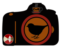 Mug Club Photo Contest