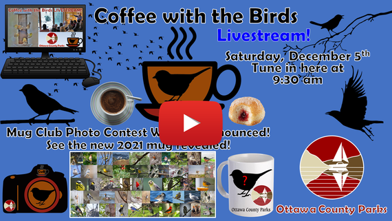 CwB Livestream Title Page