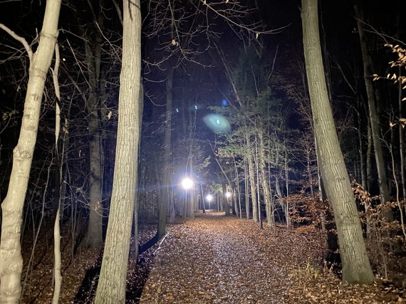 pigeon creek park lights