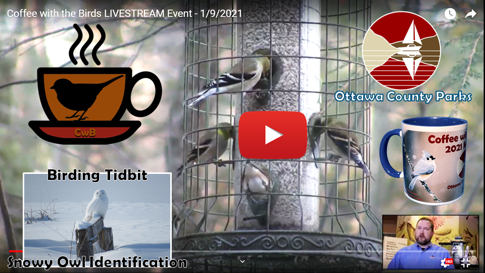 1-9-21 CwB Thumbnail