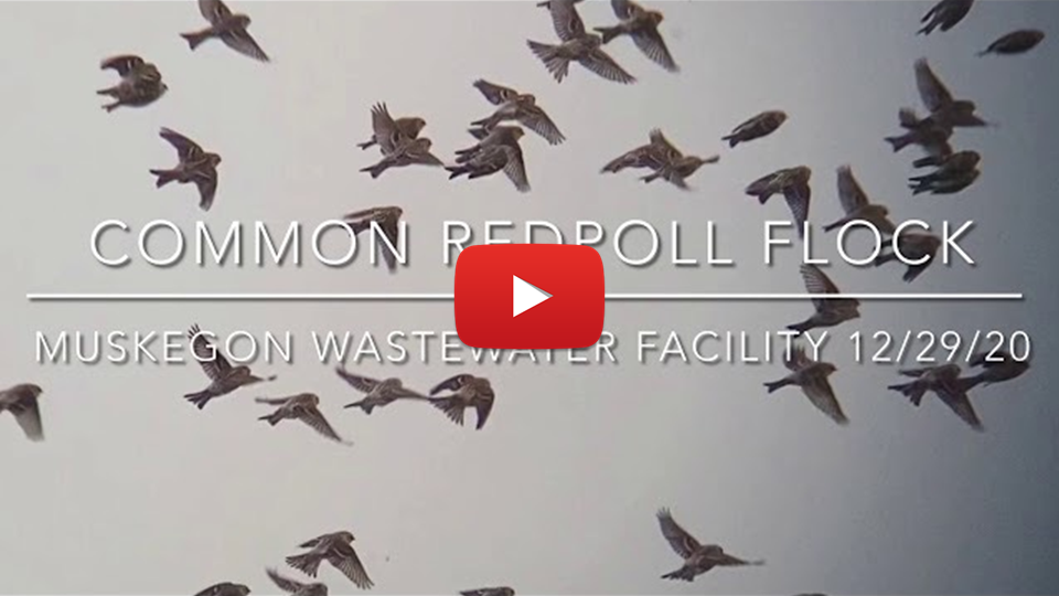 CORE VIDEO THUMBNAIL