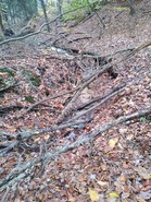 Water Flowing at Hemlock