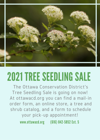 Tree Sale