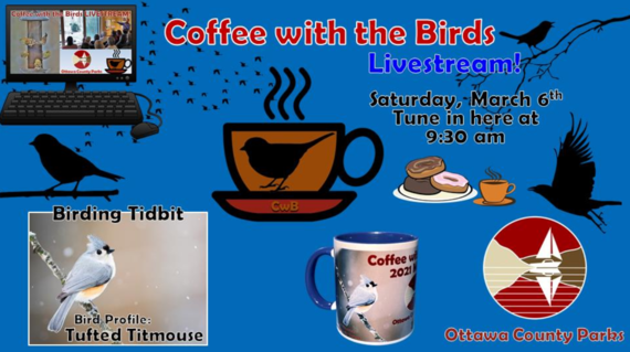 Coffee with the Birds