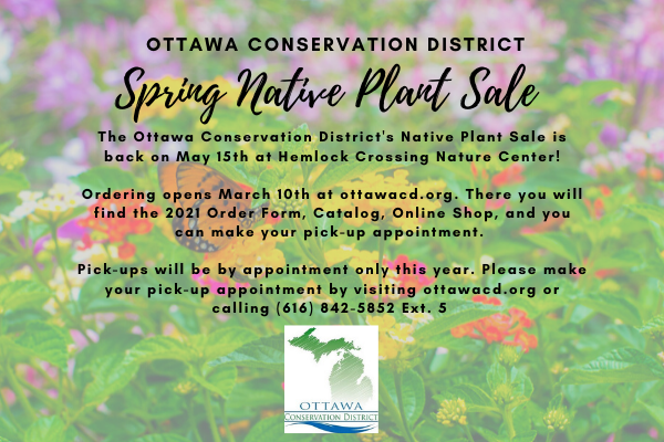 Native Plant Sale