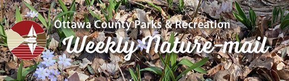 Spring e-Nature Photo