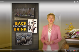 Extinct Species - CBS Sunday morning