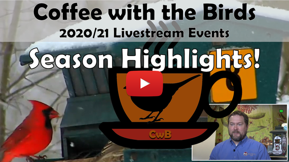 CwB Highlights Thumbnail