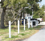Fence posts in the ROW