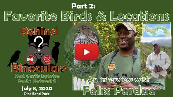 BtB Felix Perdue Part 2