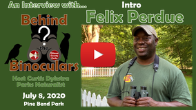 BtB Felix Perdue Intro Thumbnail