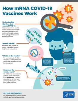 mRNA vaccines