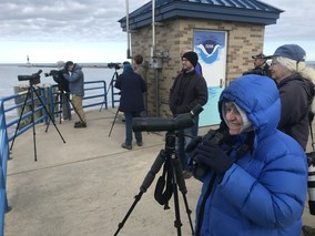 Lake Watch Birding - Holland State Park