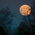 Full Moon