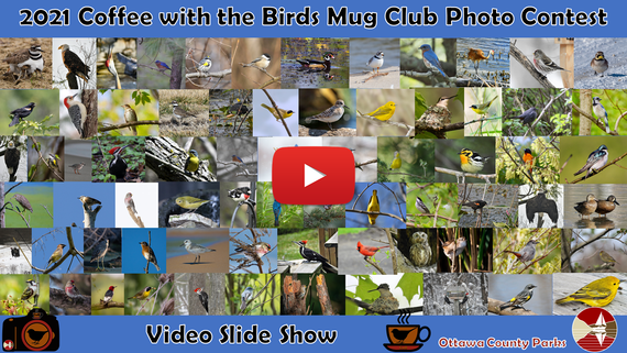 2021 Photo Contest Video