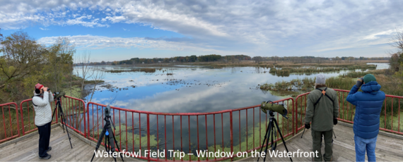 Window on the Waterfront