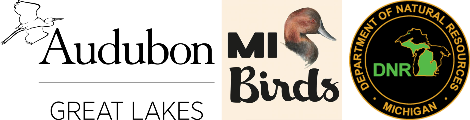 Birding Update: Quick Look...