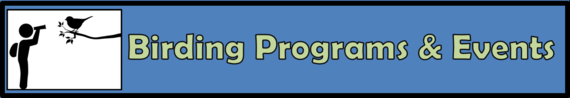 Birding Programs & Events