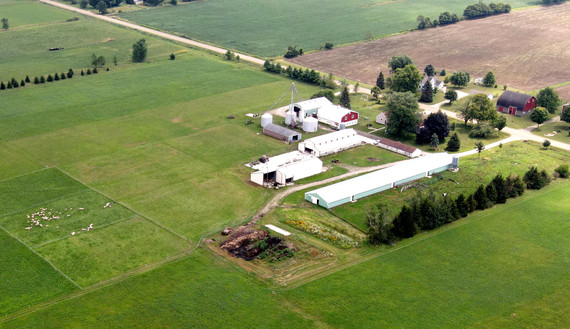 Shady Side Farm as seen from above in Olive Township.