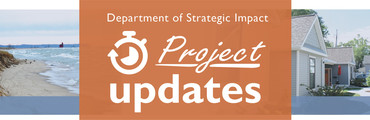 DSI Project Update