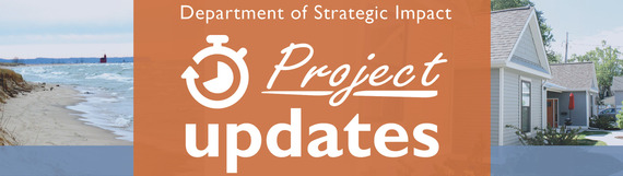 DSI Project Update