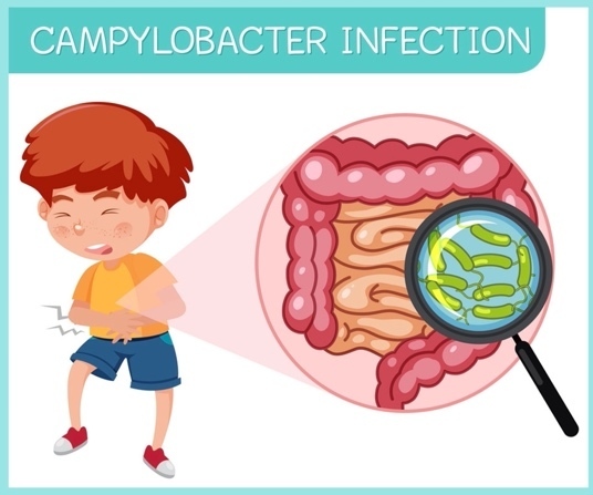Campylobacteria