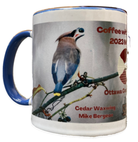 2023 Mug - Invisible Background