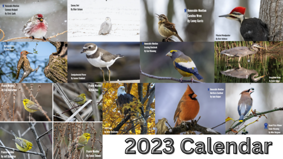 2023 Calendar Photos