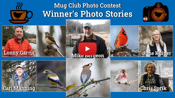 Winners Stories Slide - THUMBNAIL