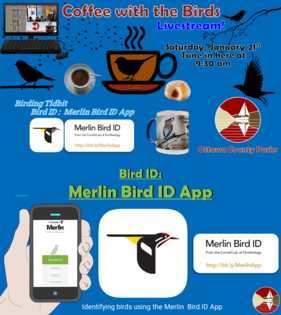 01-21-23 CwB Event and Merlin Bird ID