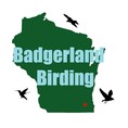 Badgerland Birding