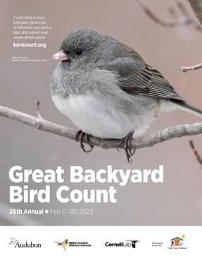 Great Backyard Bird Count