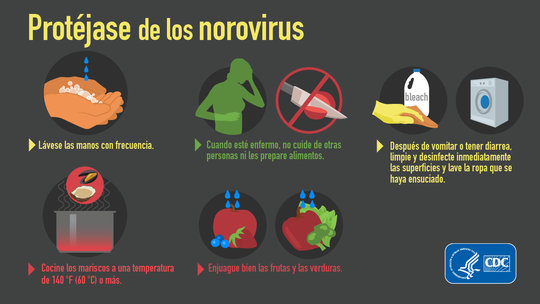 Norovirus Spanish