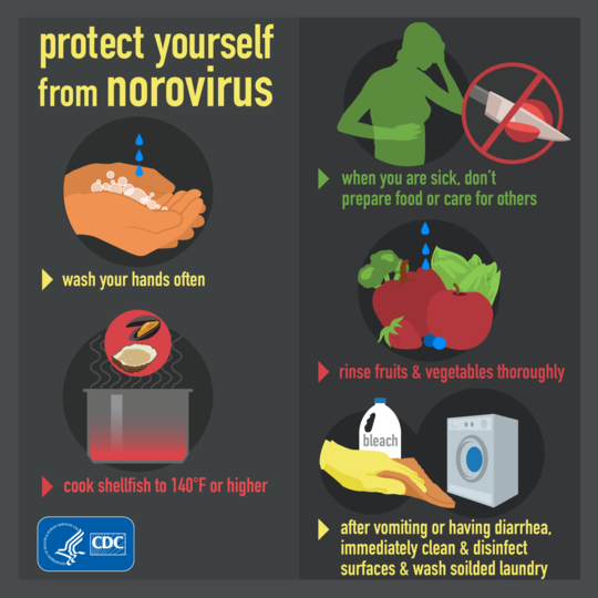 Norovirus English