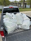 Garlic Mustard Workday