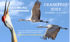 CraneFest Survey 2023