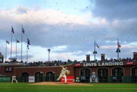 Baseball and Birds - Kelley L Cox - USA Today Sports