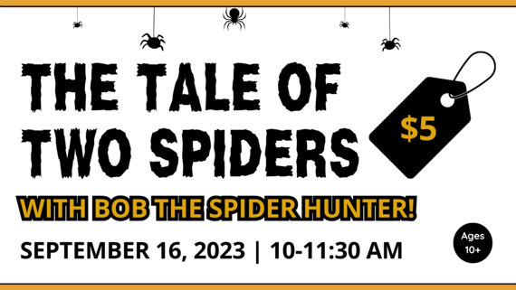 The Tale of Two Spiders