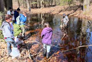 Vernal Pool Monitoring