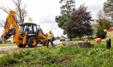 OCRC Workers Removing a Tree and Stump