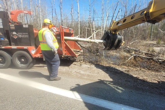 Alpena Cleanup Efforts - Tree Shredding